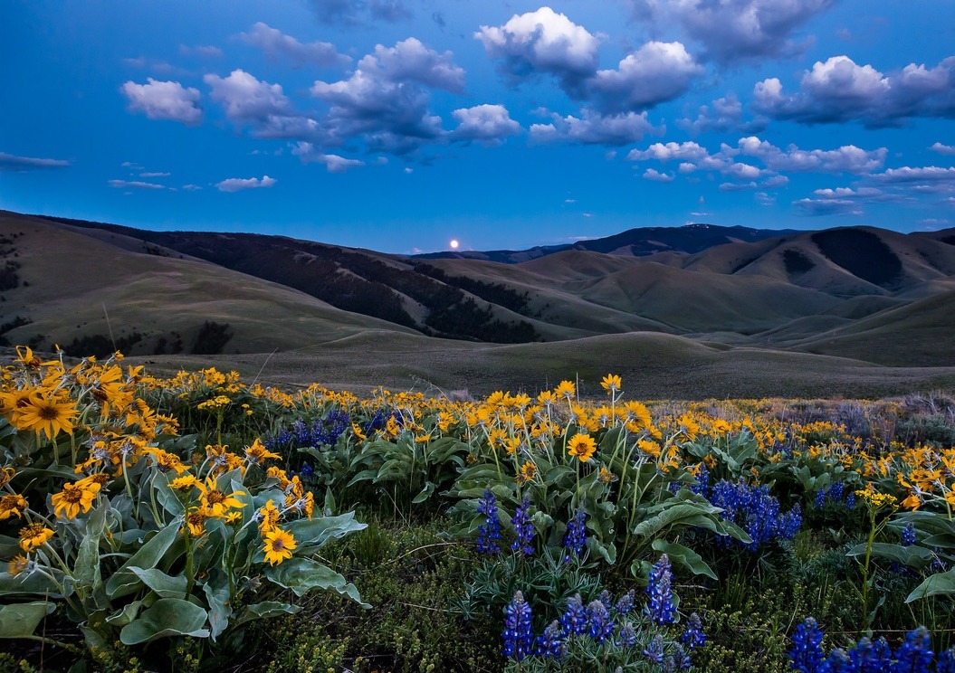 Lemhi Pass in Idaho encompassed by lands administered by the BLM. Photo courtesy Bob Wick/BLM