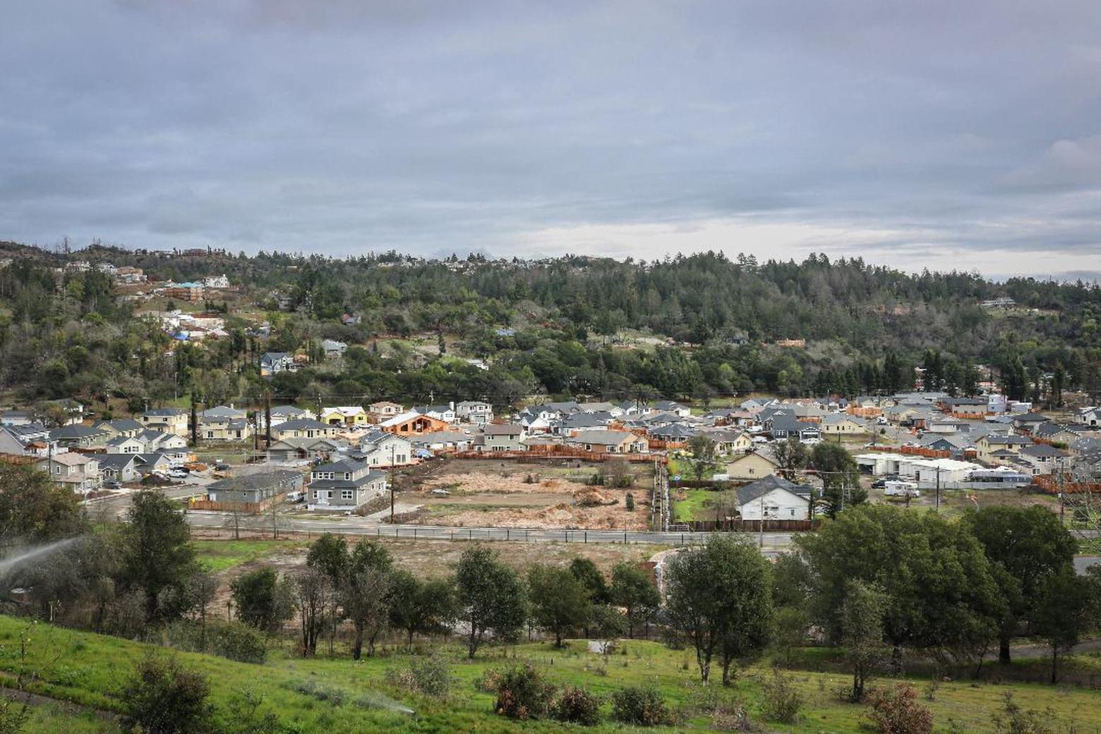 A neighborhood in Santa Rosa, California rebuilds after the Tubbs Fire. Issues of co-existence with nature take on many different forms in regions of the US where humans dominate the landscape. Pondering free-ranging wildlife and unbroken wildlands have introduced Castro-Root to a different context in thinking about the ecological health of big landscapes.