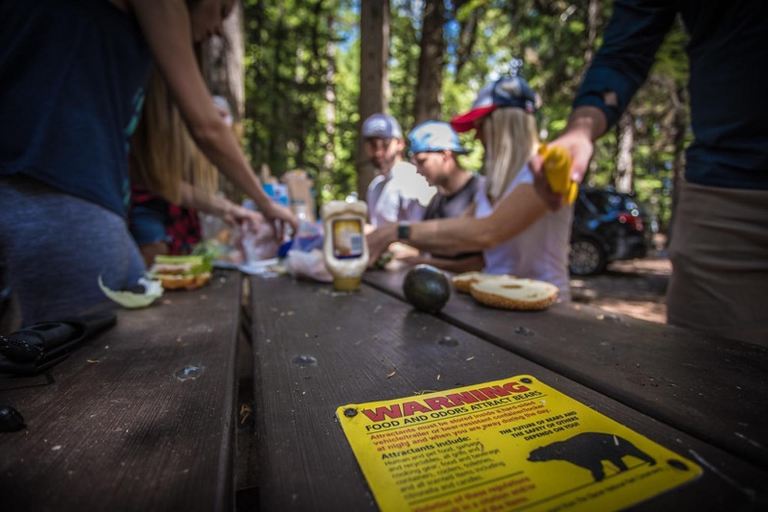 Messaging on a picnic table in Glacier National Park informs visitors that food and odors can attract bears. Photo courtesy NPS