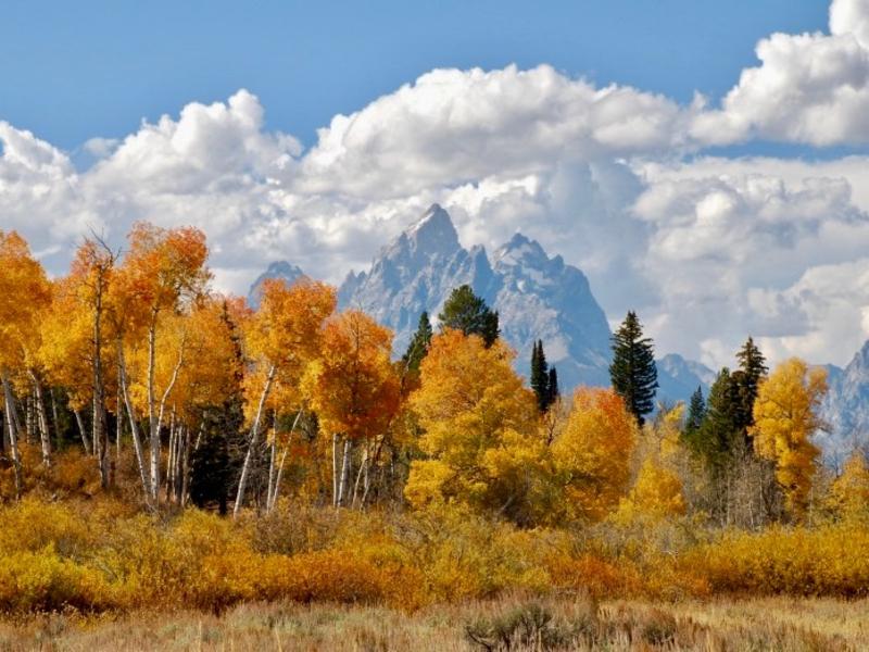 The spellbindness of the Tetons in autumn