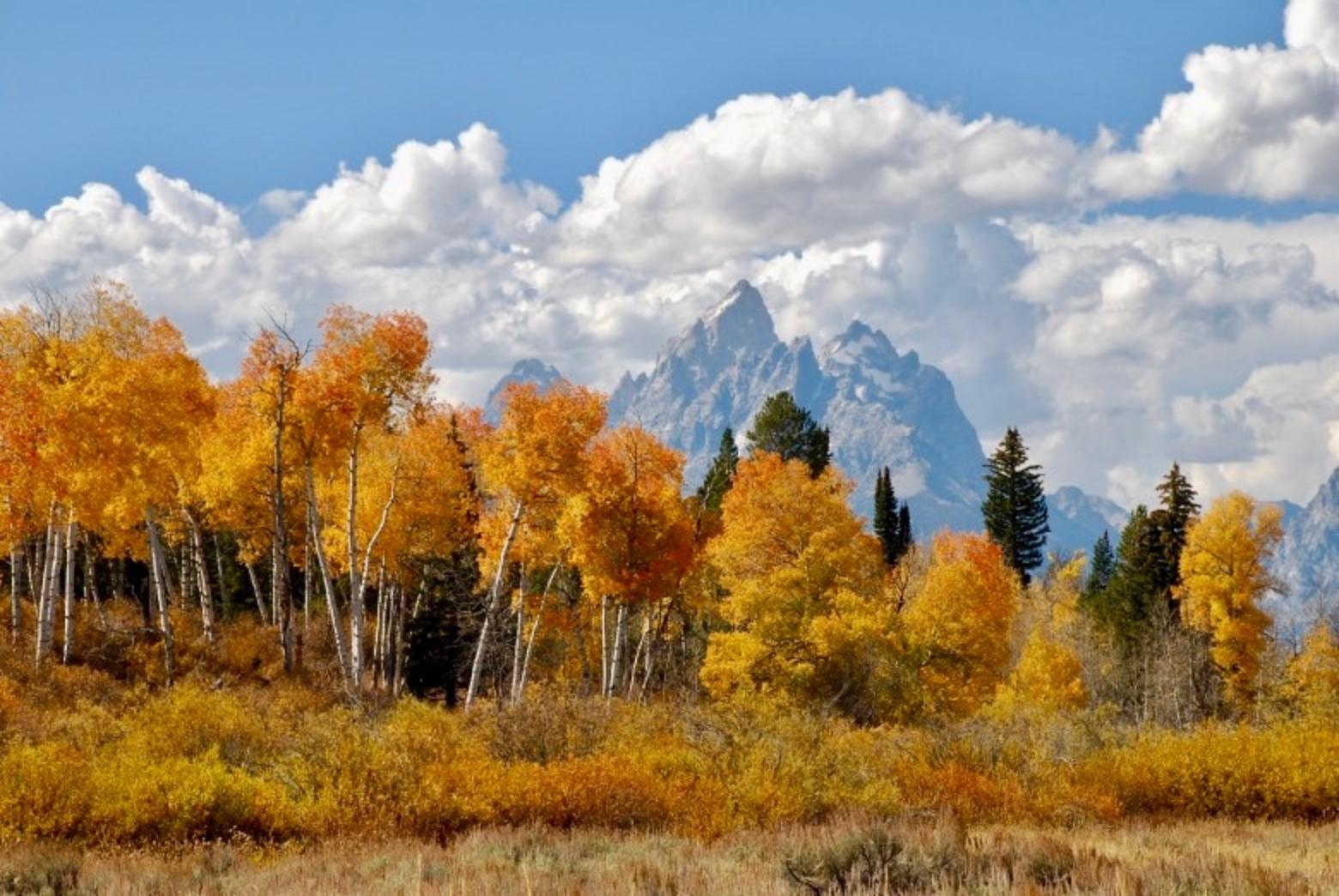 The Tetons leave us spellbound in any season but in autumn the view grips us like no other.  Susan Marsh took this photo near the intersection of Grand Teton National Park and the Bridger-Teton National Forest. What moods does the image evoke in you? Photo courtesy Susan Marsh