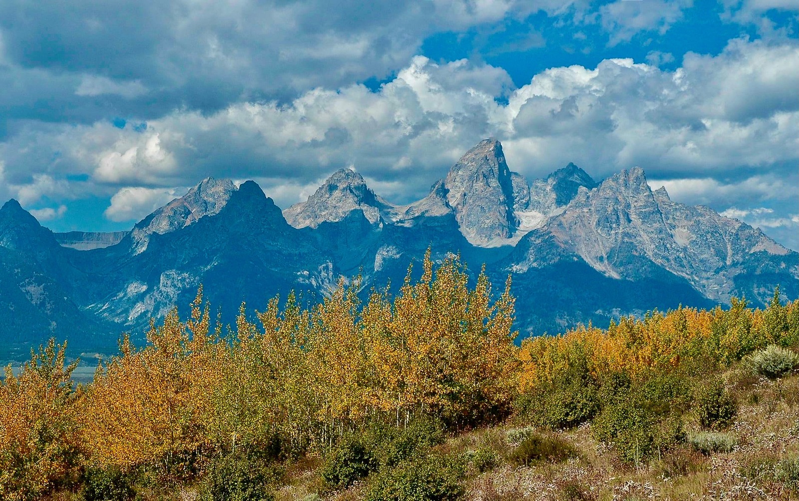 Photo of Tetons in autumn by Susan Marsh