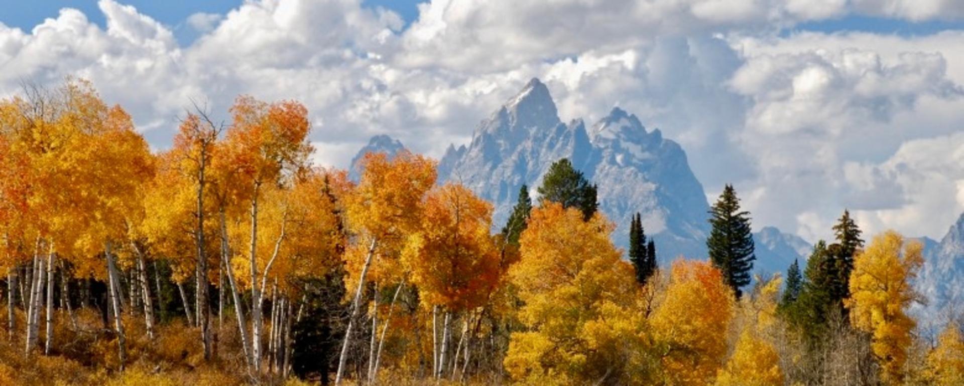 The Tetons leave us spellbound and in autumn the feeling won't let go