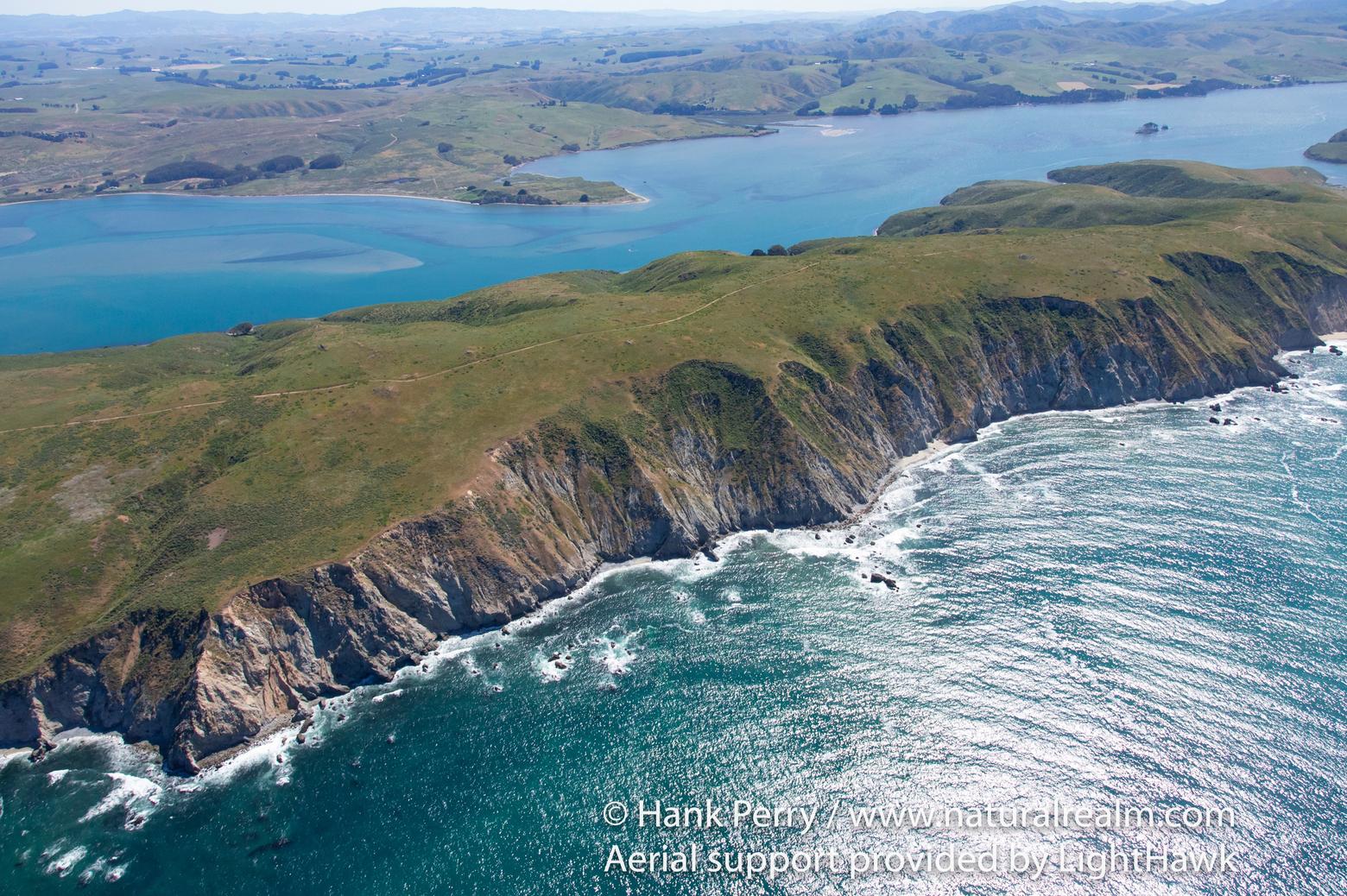 Point Reyes National Seashore is a stunning intersection of terrestrial and marine environments, set apart from the crowded human sprawl of the San Francisco Bay Area megalopolis. It invites a meditation on what resides inside rare open space; moreover, it invites the question of how 'natural' is open space that is not able to healthily perpetuate the native species that originally lived there? This is a query as poignant for Point Reyes as for lands in Greater Yellowstone.  Photo courtesy Hank Perry. To see more of Perry's photography go to naturalrealm.com