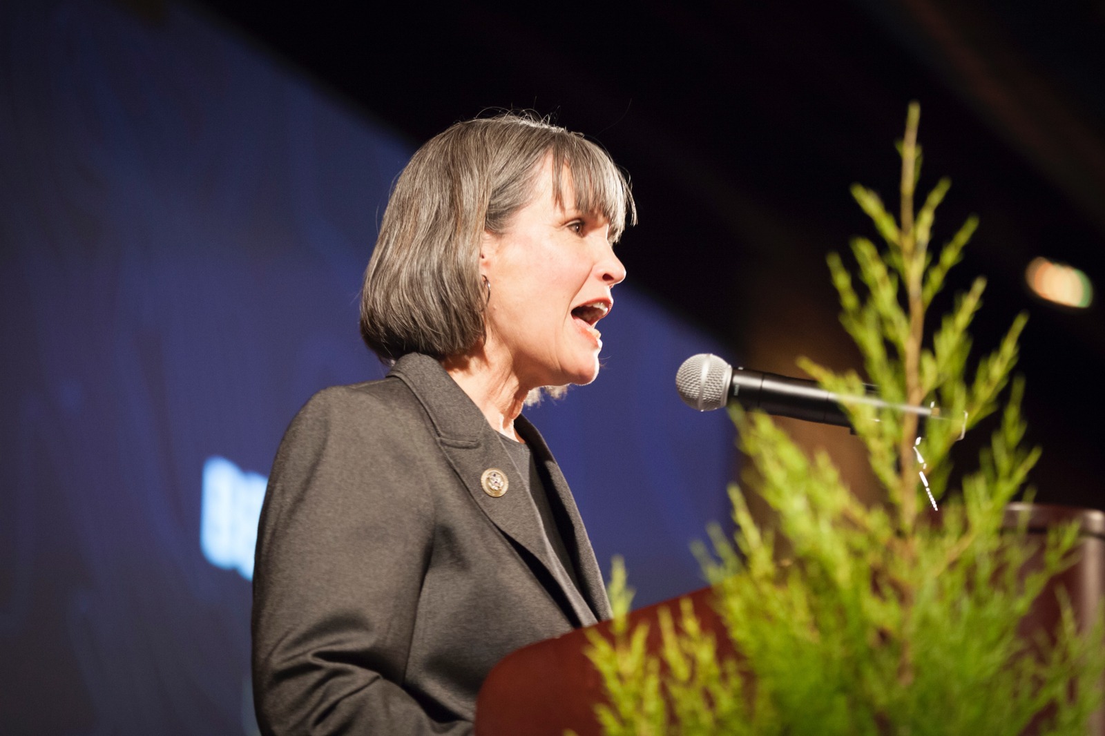 Congresswoman Betty McCollum of Minnesota has become a rising star in environmental protection, saying that maintaining water quality in the Land of 10,000 Lakes should not only be considered a source of pride for Minnesotans, whose lifestyles are closely identified with the outdoors, but as part of the public trust for lands that belong to all citizens. Photo courtesy Save the Boundary Waters.