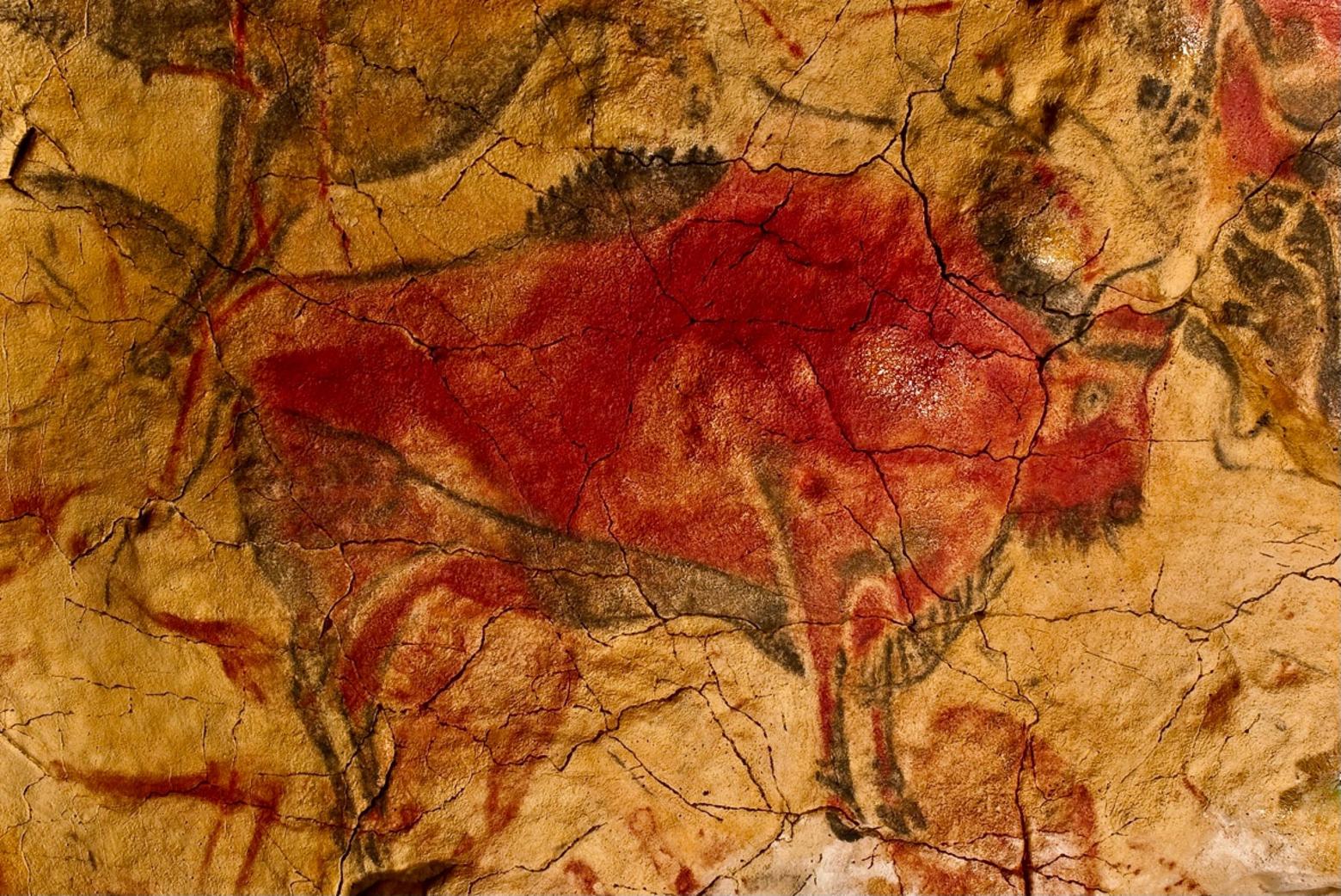 Paleolithic painting of bison (European wisent) at Altamira Cave in northern Spain.