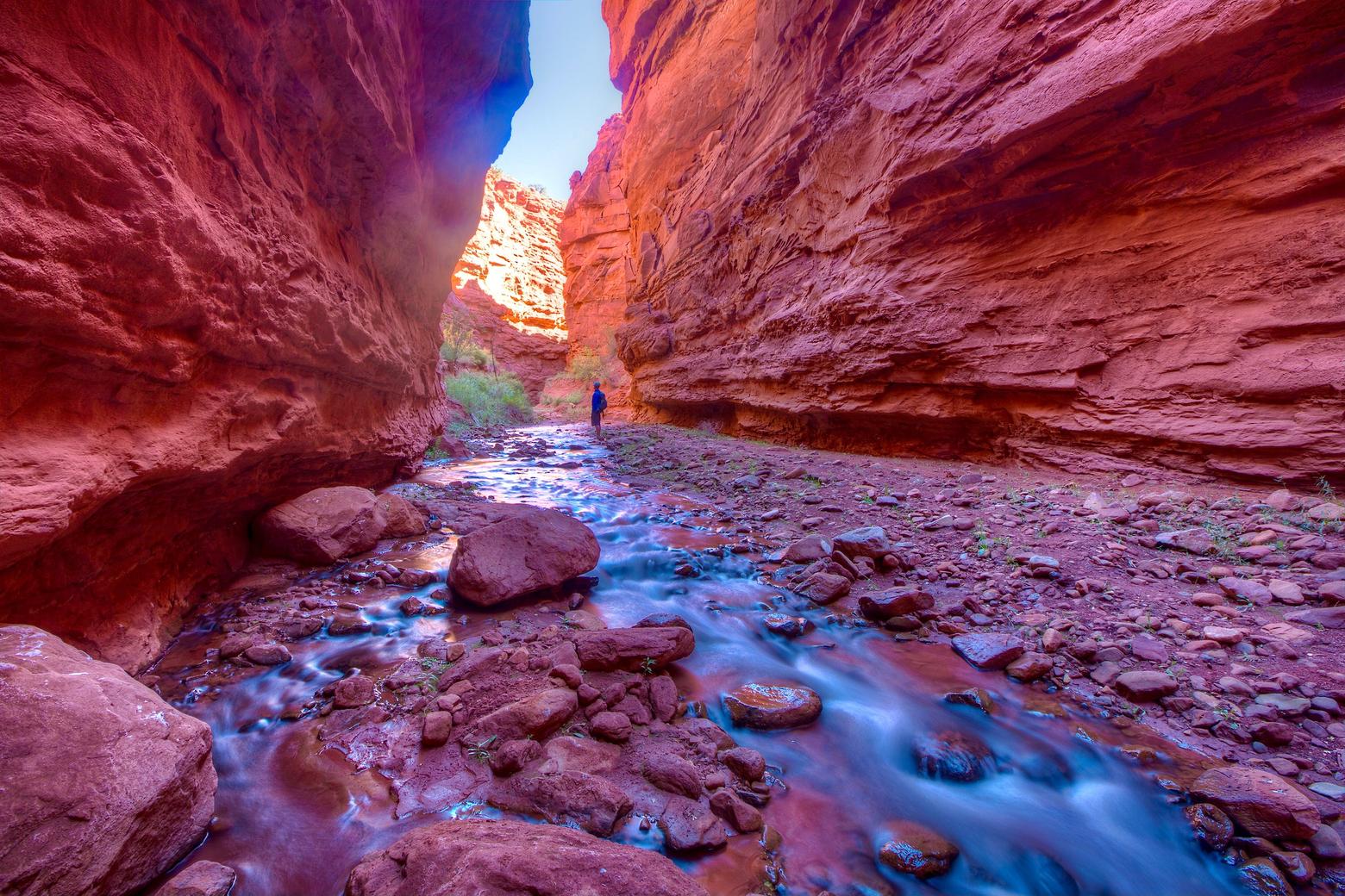 Professor Creek flows through Mary Jane Canyon. The labyrinth was a muse for Williams' pondering the future of American in a timeless place following two Presidential elections. Photo courtesy Bob Wick/BLM