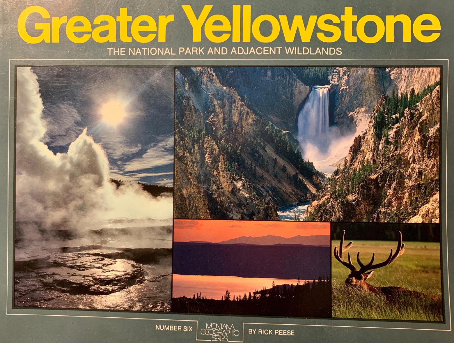 Reese's 1984 book brought a national centrifugal focus on the Greater Yellowstone Ecosystem as the cradle of modern landscape conservation in the Lower 48. Just a few years after its publication, the Congressional Research Service launched an investigation into how federal land management activities occurring on adjacent national parks, forests, and BLM lands were often in contradiction with each other in terms of stated goals. And often, wildlife and the habitat it needs to survive was being sacrificed to industrial activities such as logging, mining and fossil fuel development. 
