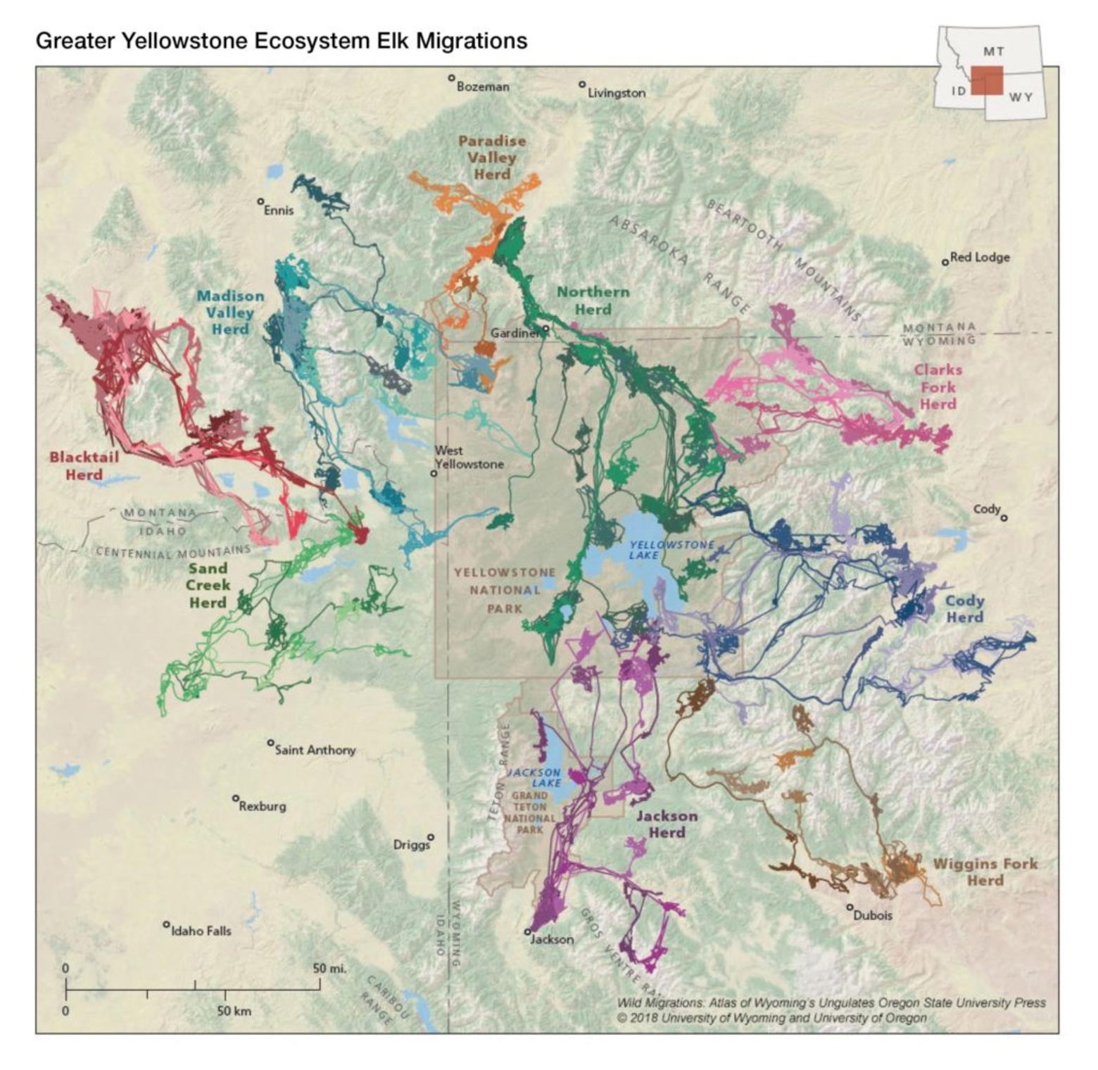 From the early concept of Greater Yellowstone that conservationists and scientists pioneered in the 1980s to today, the threads of biological connectivity in the ecosystem, as with elk migrations, have become far better understood. Reese has warned it's essential that citizens rally to protect as much of Greater Yellowstone as possible, particularly when pressures have never been more daunting. Long before this excellent map was created, Reese, a quarter century earlier, has referenced migrations and other transboundary aspects of Greater Yellowstone in his book—see below. Map above created by Wyoming Migration Initiative (migrationinitiative.org). Map below appeared in Reese's book.