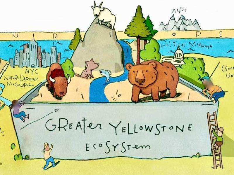 Why does Greater Yellowstone still have all of its wildlife?