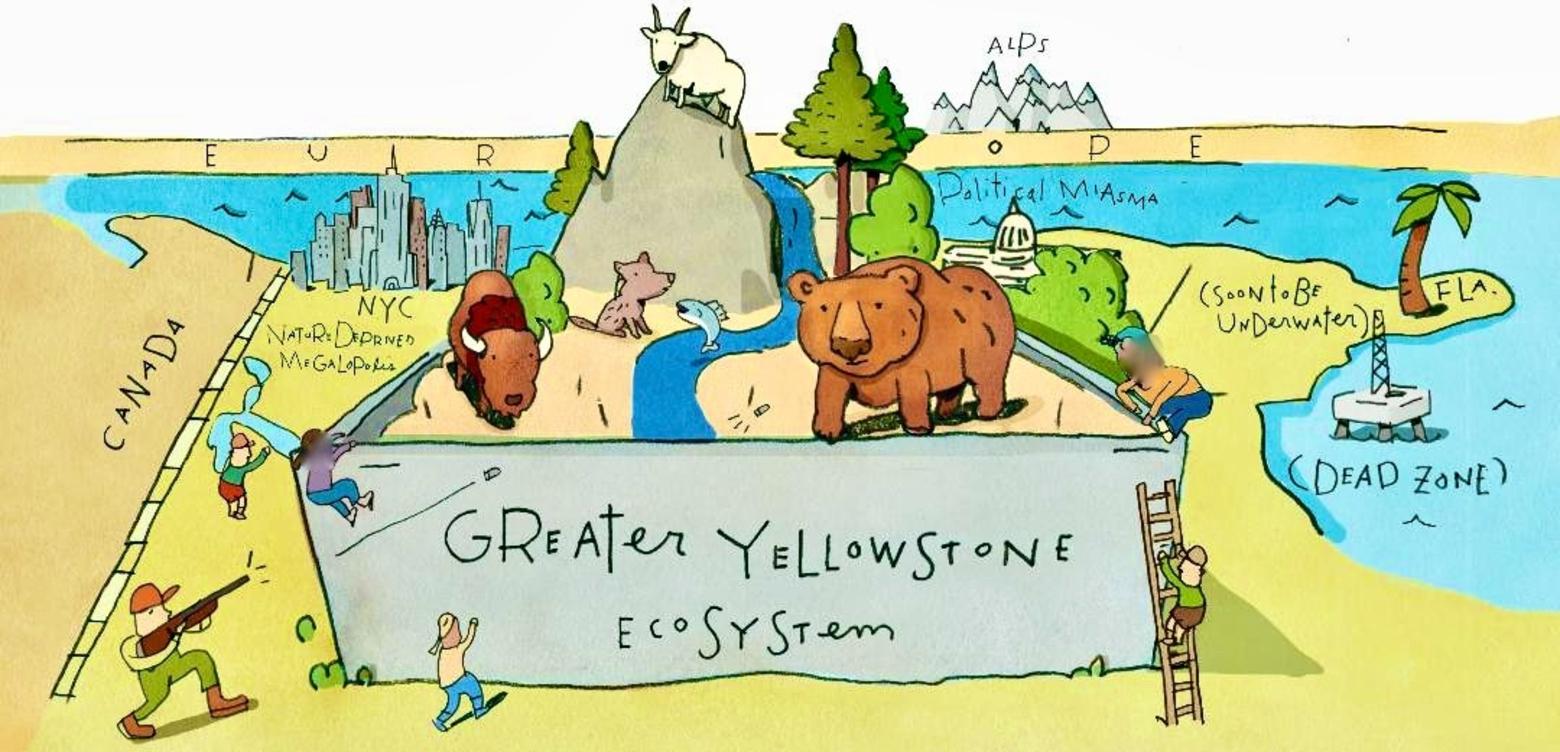 Looking east at the Lower 48 from the vantage of the Greater Yellowstone Ecosystem. Illustration by Rick Peterson. See more of his work at: www.linkedin.com/in/rick-peterson-mpls 