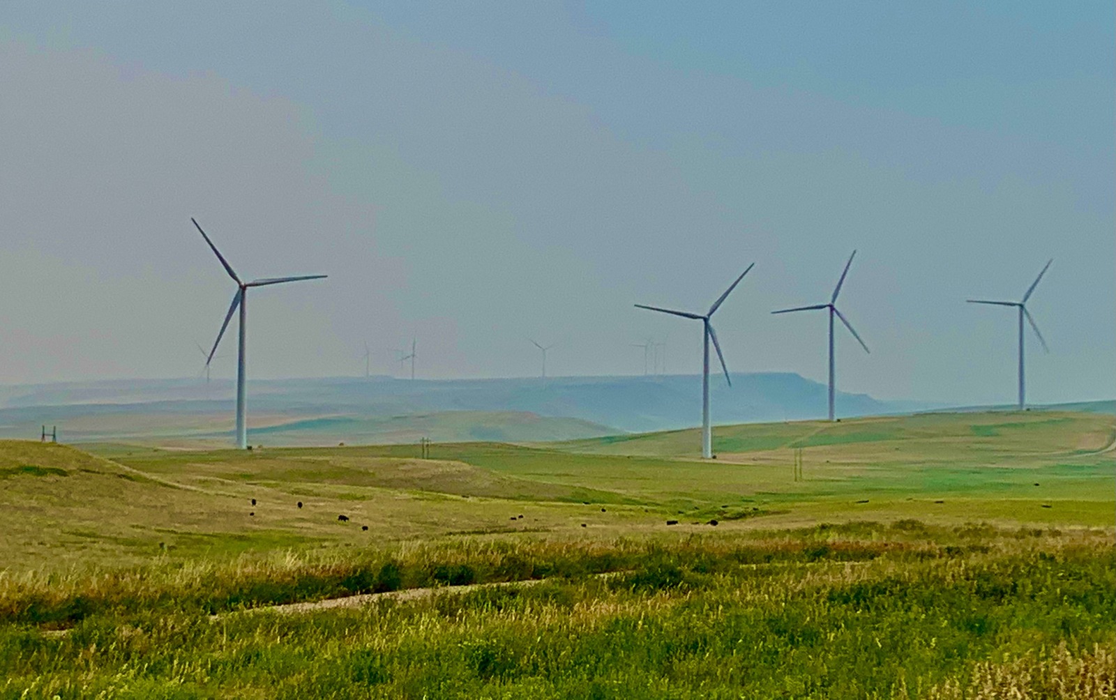 Wind turbines in the "wind belt" of central Montana. Together, Wyoming and Montana possess an abundance of wind resources to power alternative energy but the blades of turbines can be deadly to birds which ride the same wind currents. Photo by Todd Wilkinson