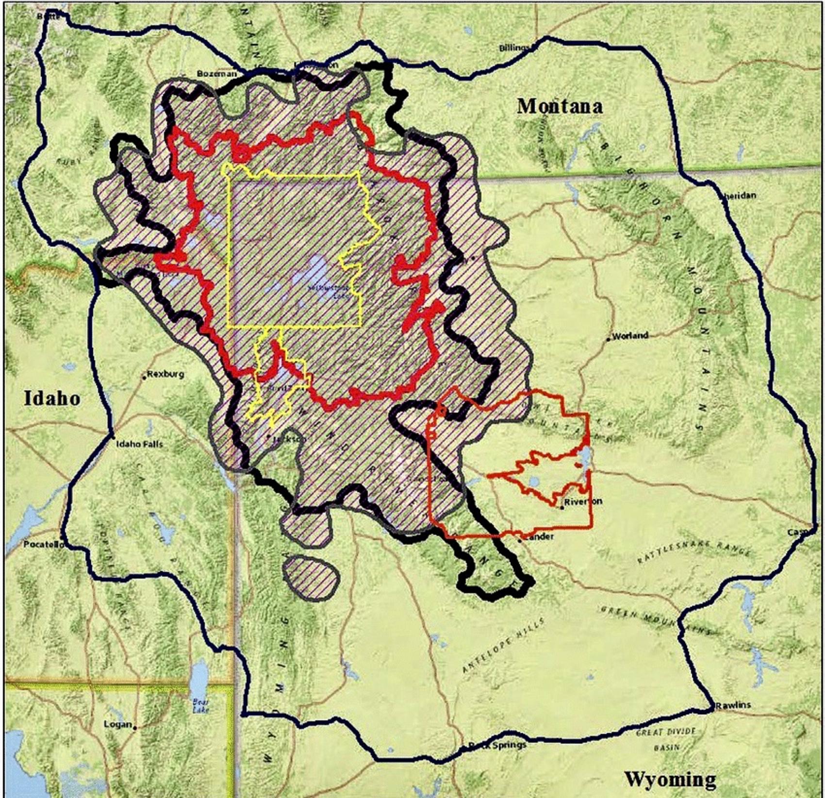 Boundaries of Yellowstone and Grand Teton national parks in yellow. Primary bear recovery zone, which represented grizzly bear distribution at time of federal listing in mid 1970s, in red.  Bold purple line, just beyond, encompasses where bears are today in numbers that count toward maintaining population objectives. Click on map to make larger