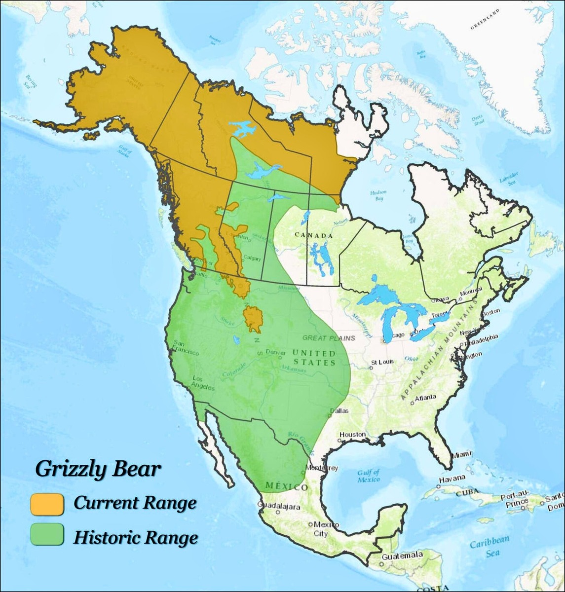 Graphic courtesy USGS Grizzly Bear Study Team