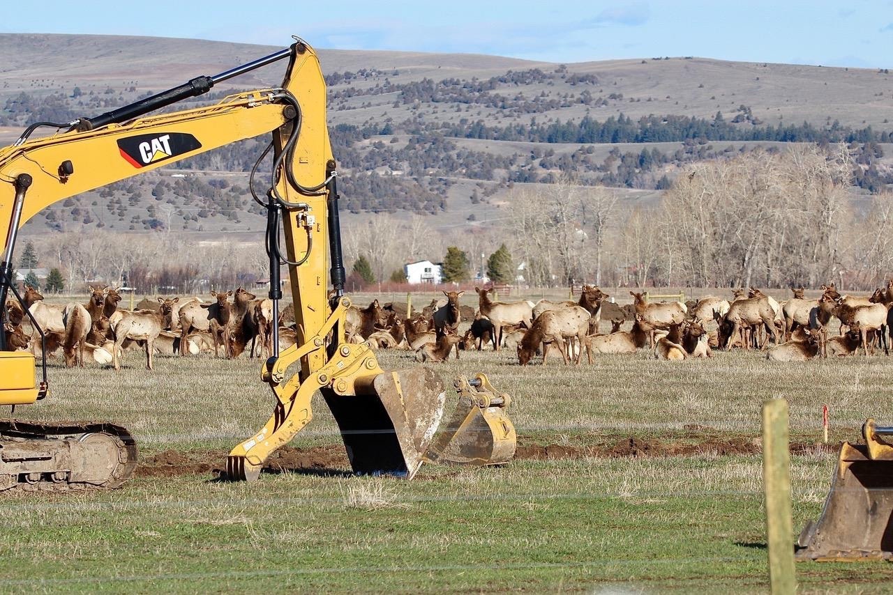 The so-called "balance" between private land development and conservation is landing hard on some of America's most famous wildlife populations in the Greater Yellowstone Ecosystem. And, for the most part, scientists say, leaders on many fronts are failing to prevent it from happening.  Photo of elk and their habitat being impacted by development in Montana's Gallatin Valley near Bozeman by Holly Pippel.