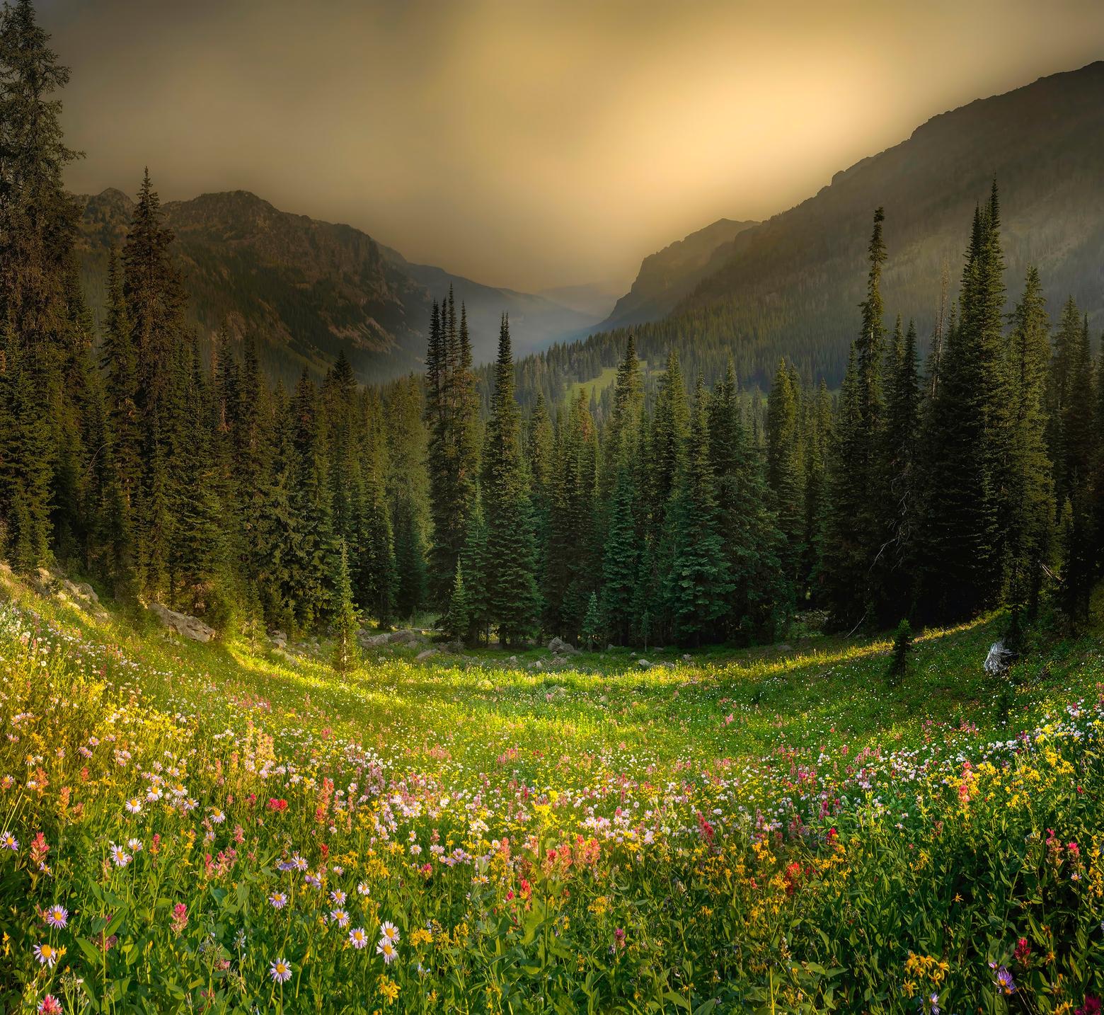 Greater Yellowstone nature photographer Jake Mosher's award-winning image "Paradise Lost."  Used with permission of Mosher
