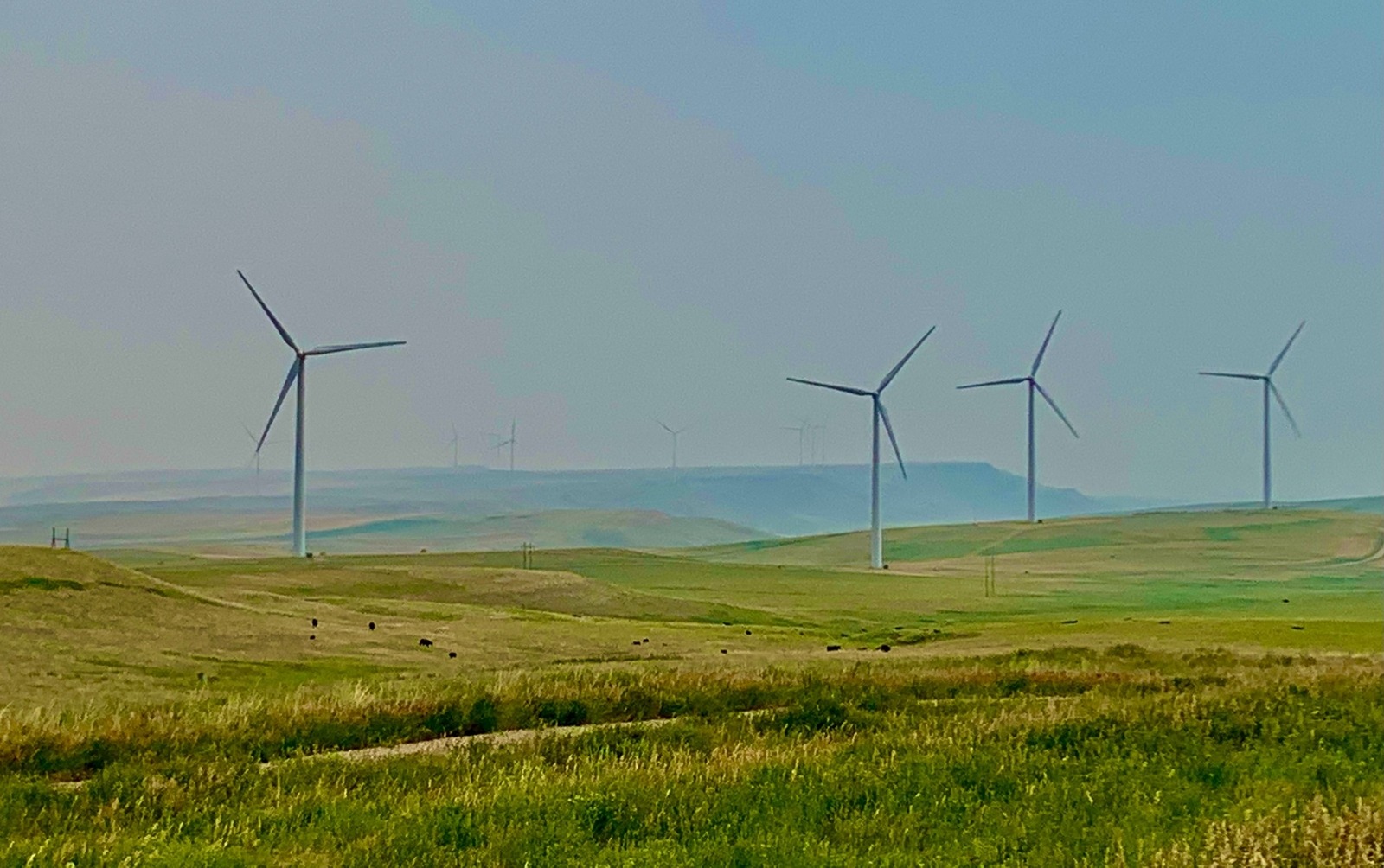 Wind farms are growing across the West, including here in central Montana's Judith Basin. But with increasing electricity demand, David Marston writes that nuclear energy may be a key contributor to a solution. Photo by Todd Wilkinson