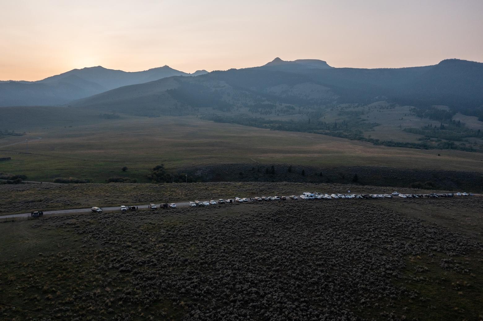 More than 50 cars line the side of the Tom Miner Basin county road above the B Bar Ranch, where grizzlies feed on caraway in the fields. Visitors come from as close as Livingston and Gardiner but also internationally to watch the bears in Tom Miner. Without a designated parking area, the shoulder of the road has been turned into a makeshift parking lot on private land.