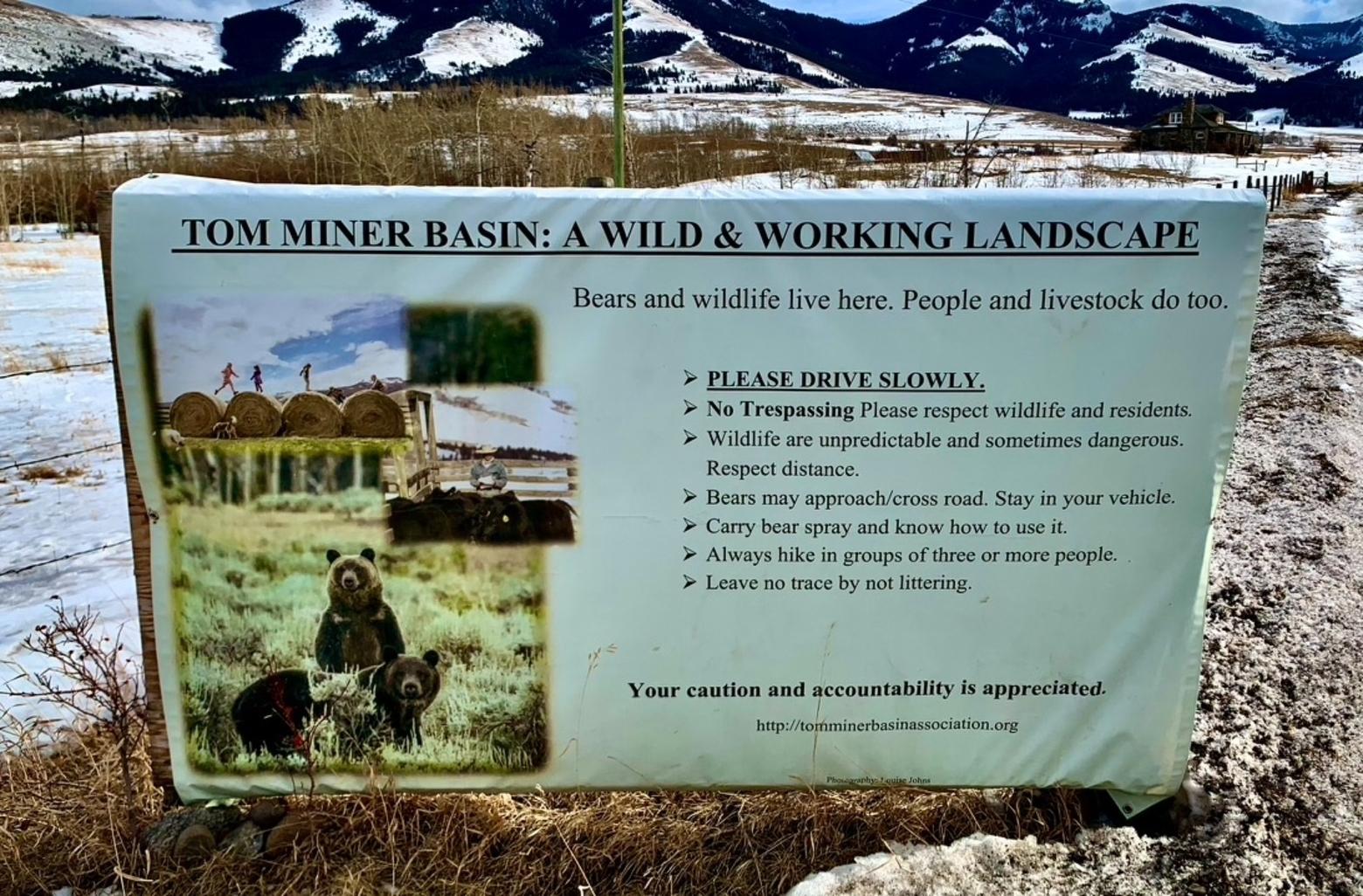 The residents of Tom Miner Basin have done everything they can to amicably encourage responsible behavior on the part of visitors, but politeness does not always work. Lots of times, human and financial resources have been expended to promote good behavior. One positive thing readers can do is contribute to the Tom Miner Basin Association. Photo by Todd Wilkinson