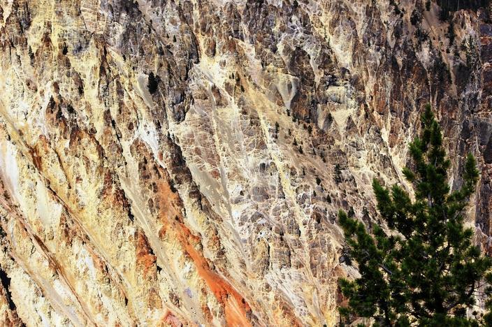 Closeup of a wall of the Grand Canyon of the Yellowstone showing red, orange and yellow mineral alternation, as well as white veins of silica, in the subsurface alteration zone of a former thermal basin. Photo by Pat Shanks
