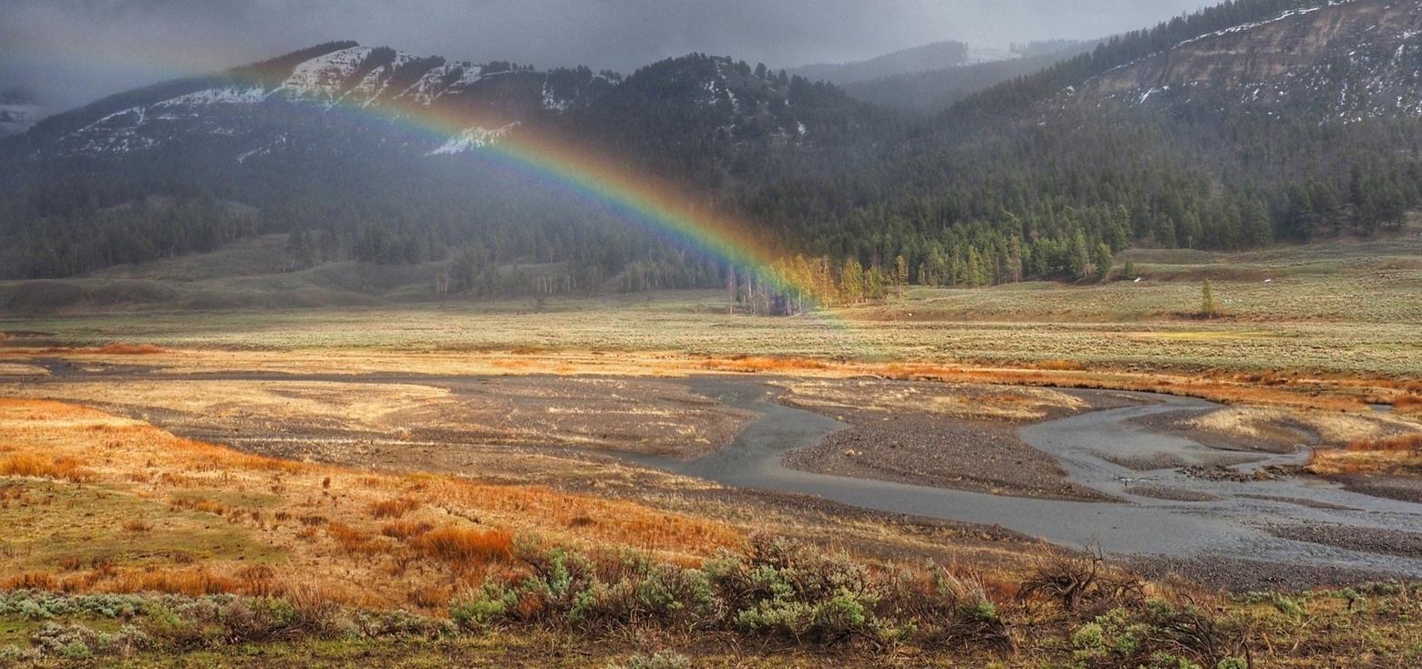 Fittingly, Jenny Golding calls this Yellowstone image "Serendipity and the Art of Lingering" which is a metaphor for how revelation is most apt to visit us when we slow down and pay attention. Photo courtesy Jenny Golding 
