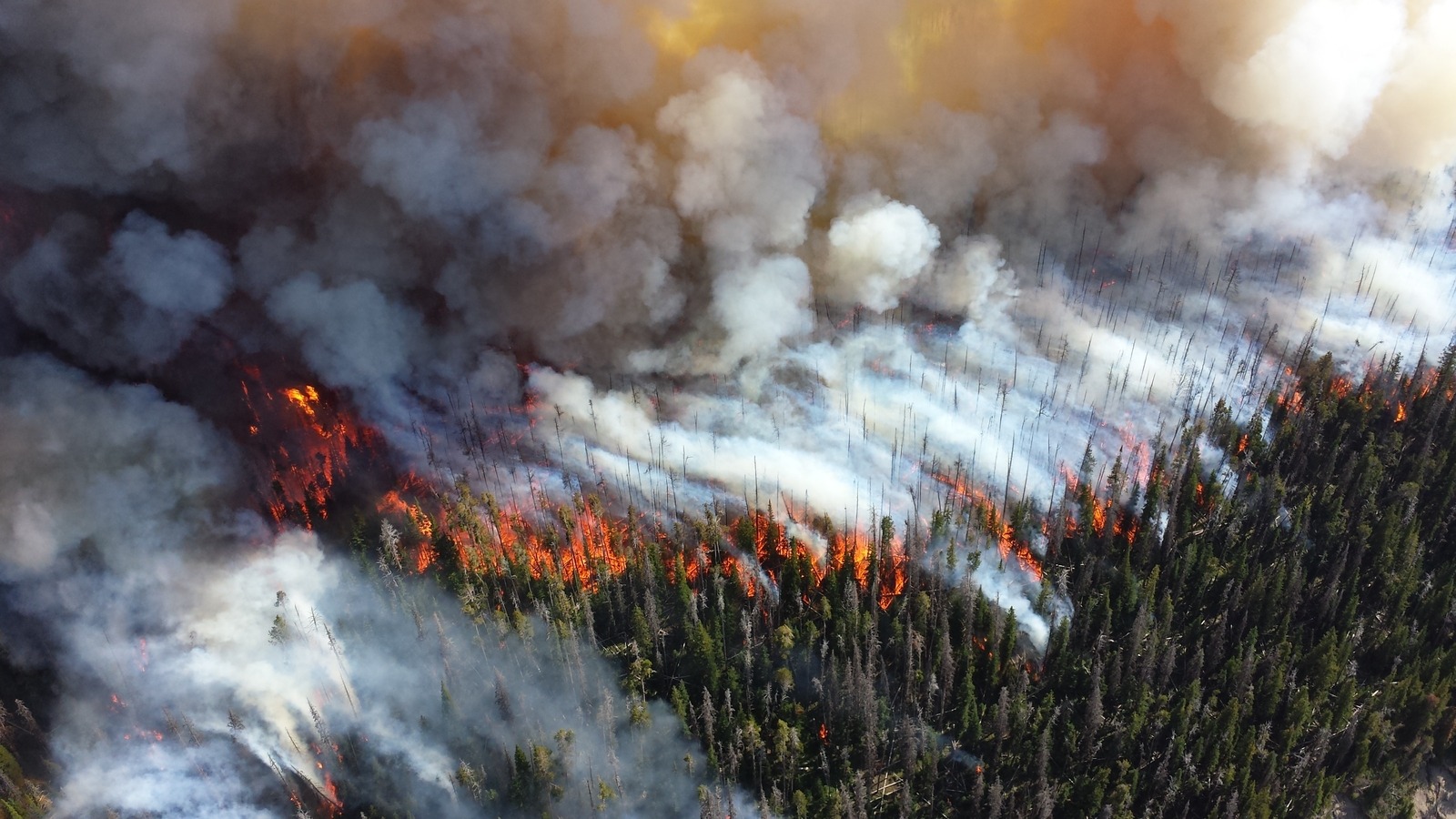 A lightning strike ignited the 2013 Alder Fire, eventually burning 4,240 acres in Yellowstone National Park. Photo by Mike Lewelling/NPS