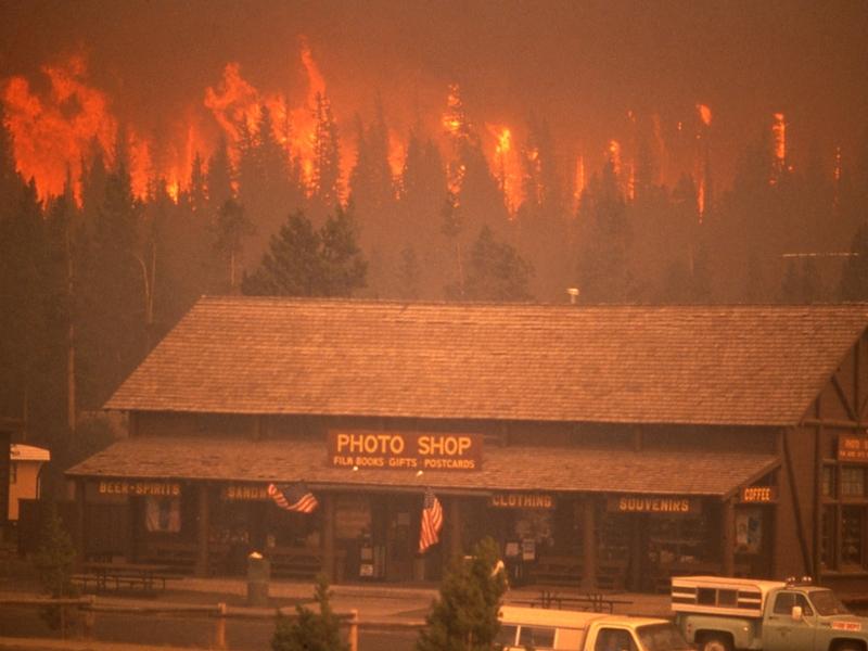 A crown fire approaches the Old Faithful Photo Shop, Yellowstone National Park, 1988