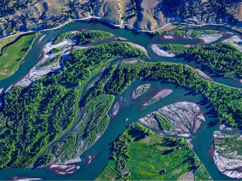 Yellowstone magic: vision of protected islands in a healthy wild  braided river 