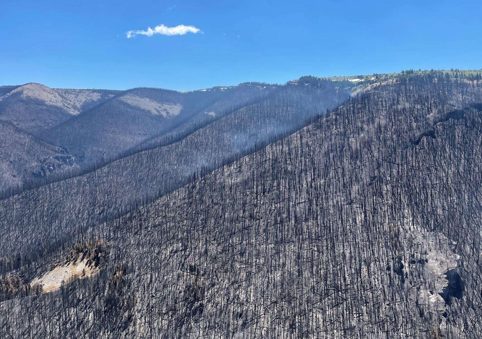 Mountain slopes after a fire in the Northern Rockies that didn't need to be fought because few human structures were in direct danger. Photo courtesy US Forest Service.