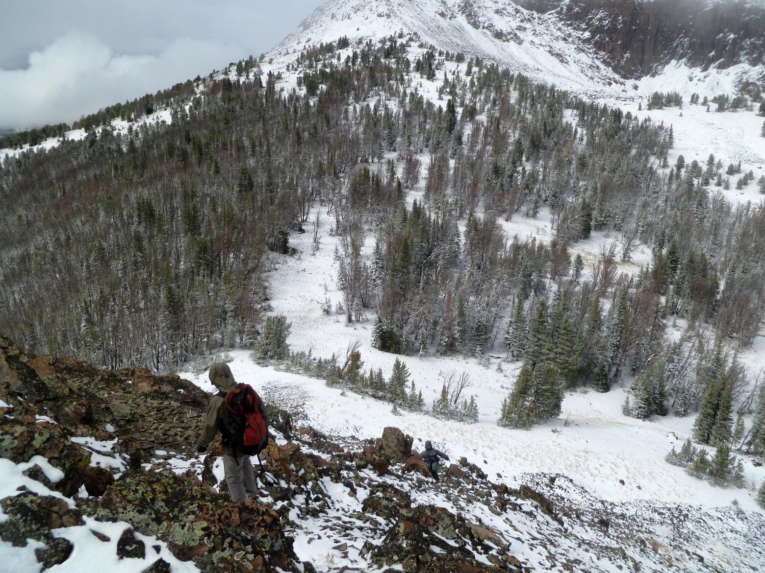 Former Forest Service Climate Change researcher Jesse Logan clambers down scree to get to whitebark pine stands along Packsaddle Peak in the Tom Miner Basin. Photo by Laura Lundquist