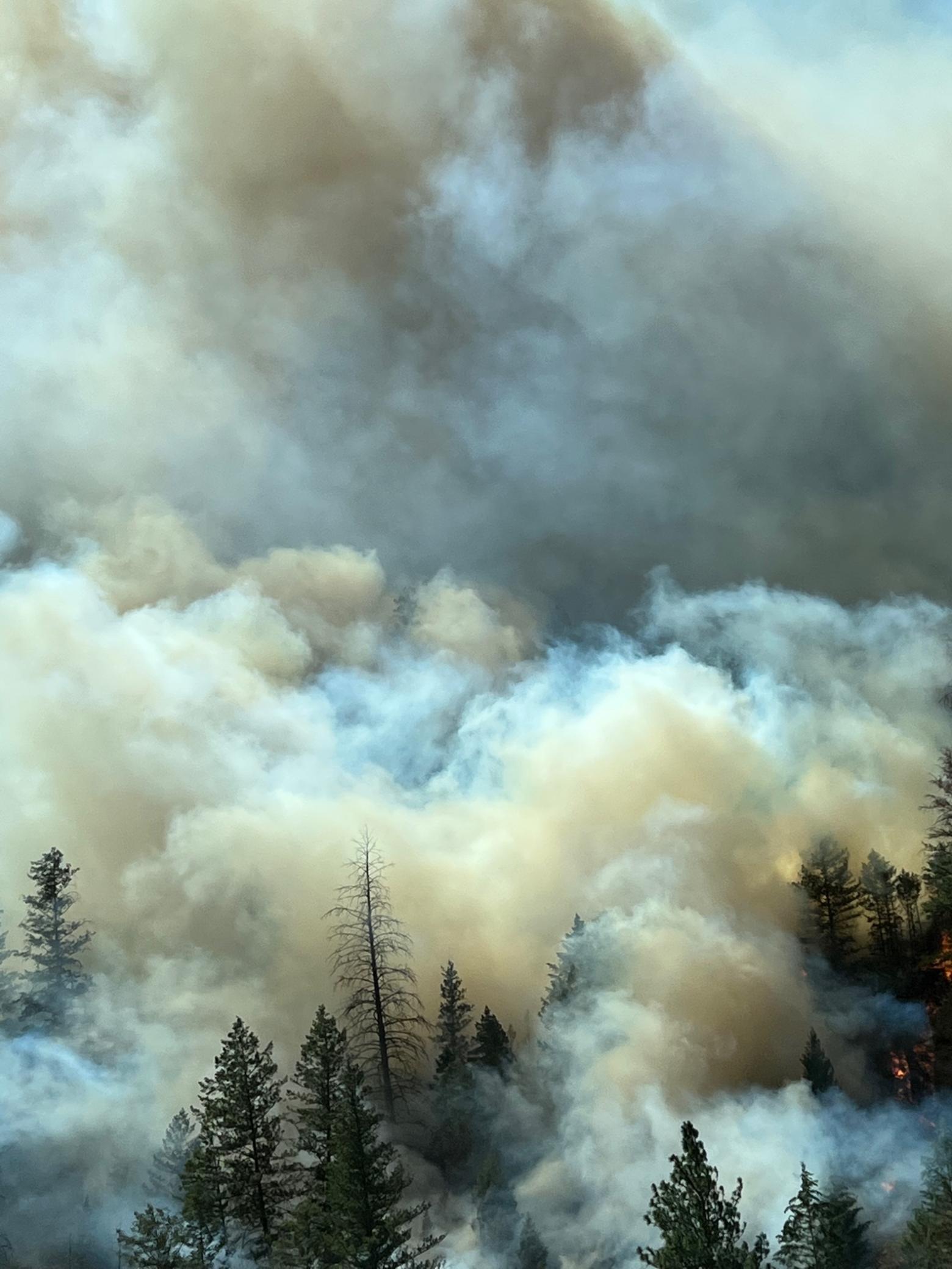 Wildfires are inherent to the American West. A warming planet along with a century of human fire suppression have contributed to bigger, hotter and more frequent wildfires but expanded growth into the wildland-urban interface is increasing the risk factors exponentially. Photo by Audrey Cadwallader