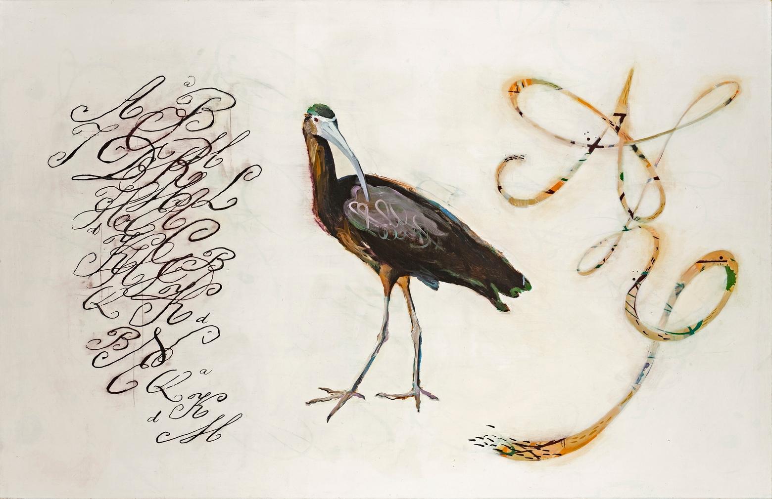 "Specimens (with Ibis)," a work that speaks to Courtenaye's fascination with the soothing curvilinear parallels between avian forms and the stylized penmanship that was its own art form in letters, field journals and documents of the past.  