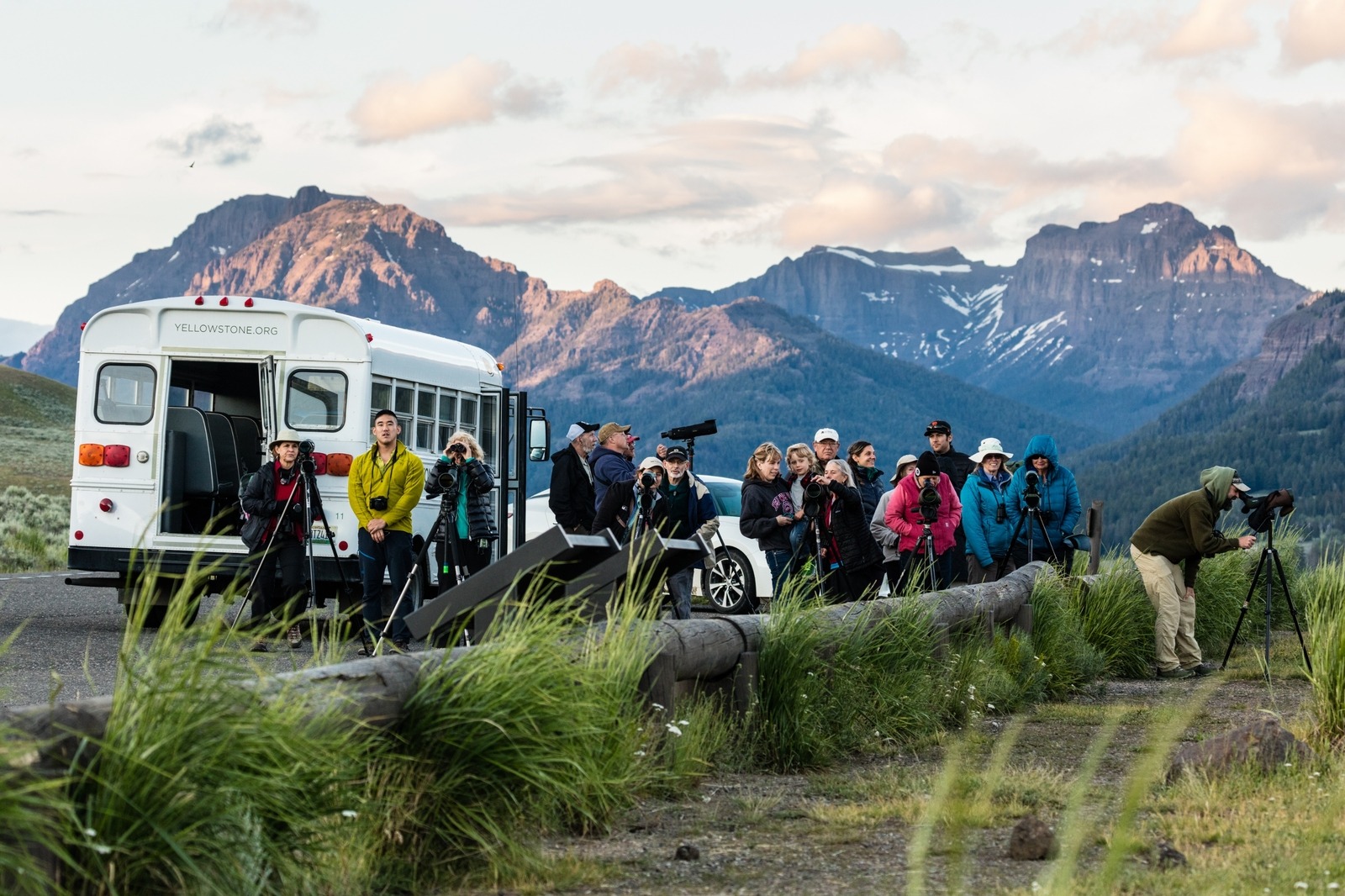 Park visitors watch wildlife in the Lamar Valley with shuttles through Yellowstone Forever. Photo by Jacob W. Frank/NPS