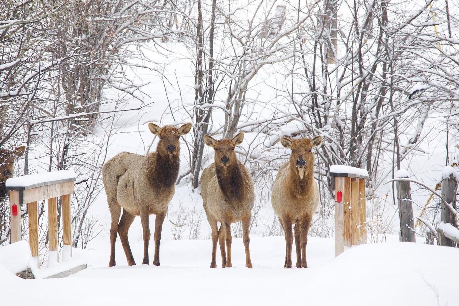 Nature wields a powerful presence in southwest Montana. Great places cannot be saved without great people stepping up. Everything we do, every contribution we make matters. This is the essence of living in a healthy community. Photo by Holly Pippel