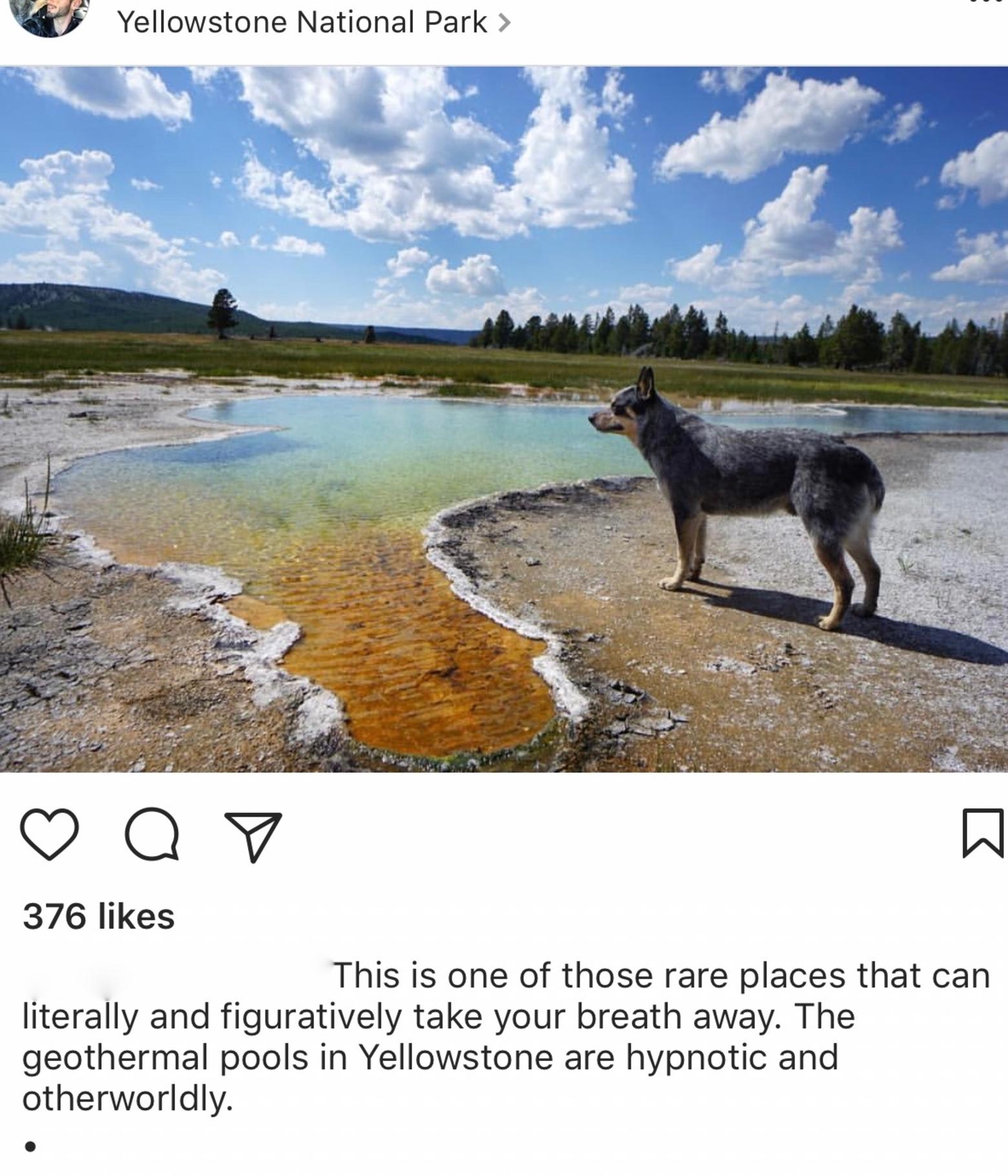 Visiting our most spectacular (and sensitive) wild landscapes is on the bucket list of a a lot of people, but should we also treat those places as if they are on the must-see bucket lists of our dogs? An Instagram post from a visitor to Yellowstone ironically showing his dog doing something illegal—being inside a thermal basin off leash. 