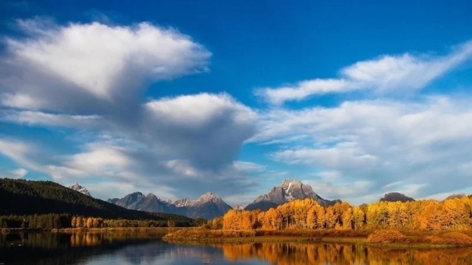The Oxbow Bend of the Snake River in Grand Teton National Park, one of the premier wildlife-viewing locations in Greater Yellowstone. Photo courtesy Jackson Hole EcoTour Adventures  (jhecotouradventures.com)