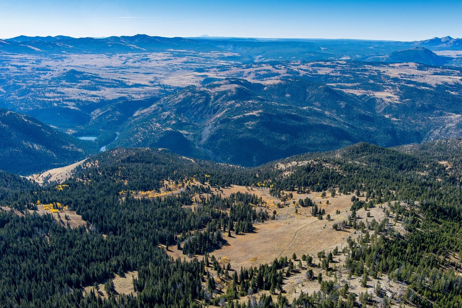 Aerial image of the southern portion of the proposed Crevice mine site (open meadows in the middle of the image). The northern boundary of the Yellowstone National Park runs across the middle of the photograph before the hill drops steeply into the Black Canyon of the Yellowstone River. Photo by William Campbell