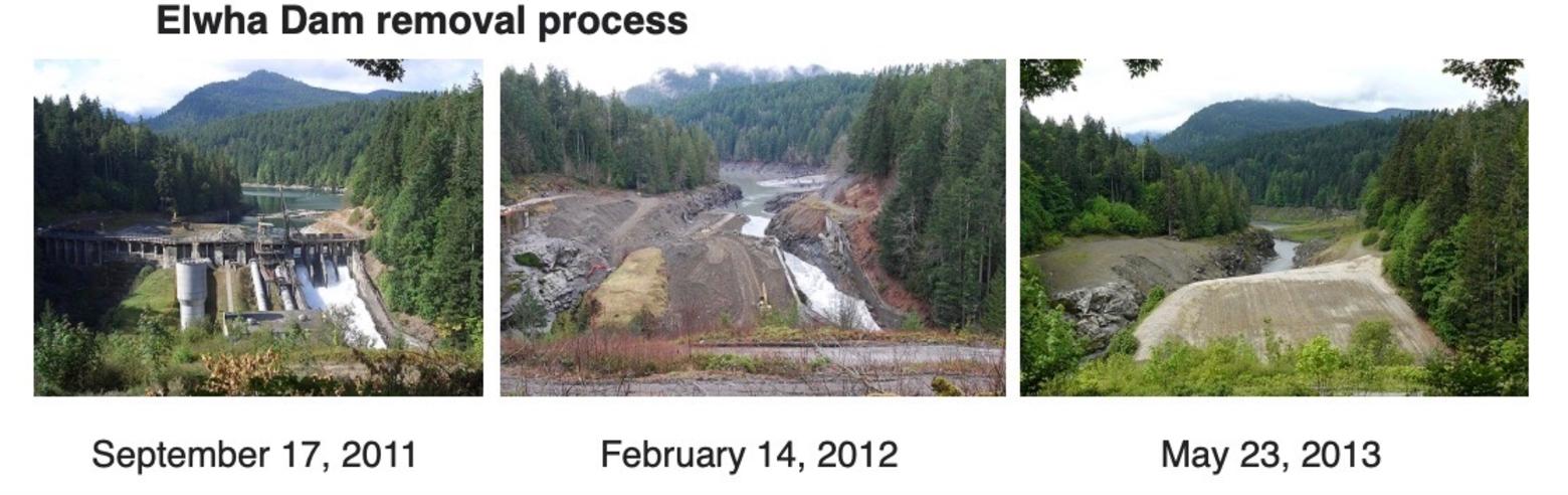 How a dam was removed and a wild river restored: A view of the decommissioning of Elwha Dam. Source: Wikipedia Commons