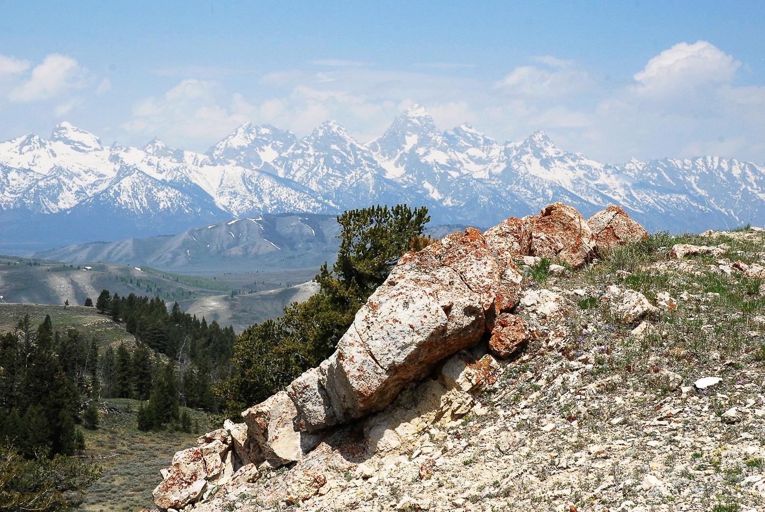 Eye of the beholder: The writer's view of the Teton Range from the sandstone rim on “Magic Ridge.” Photo by Susan Marsh