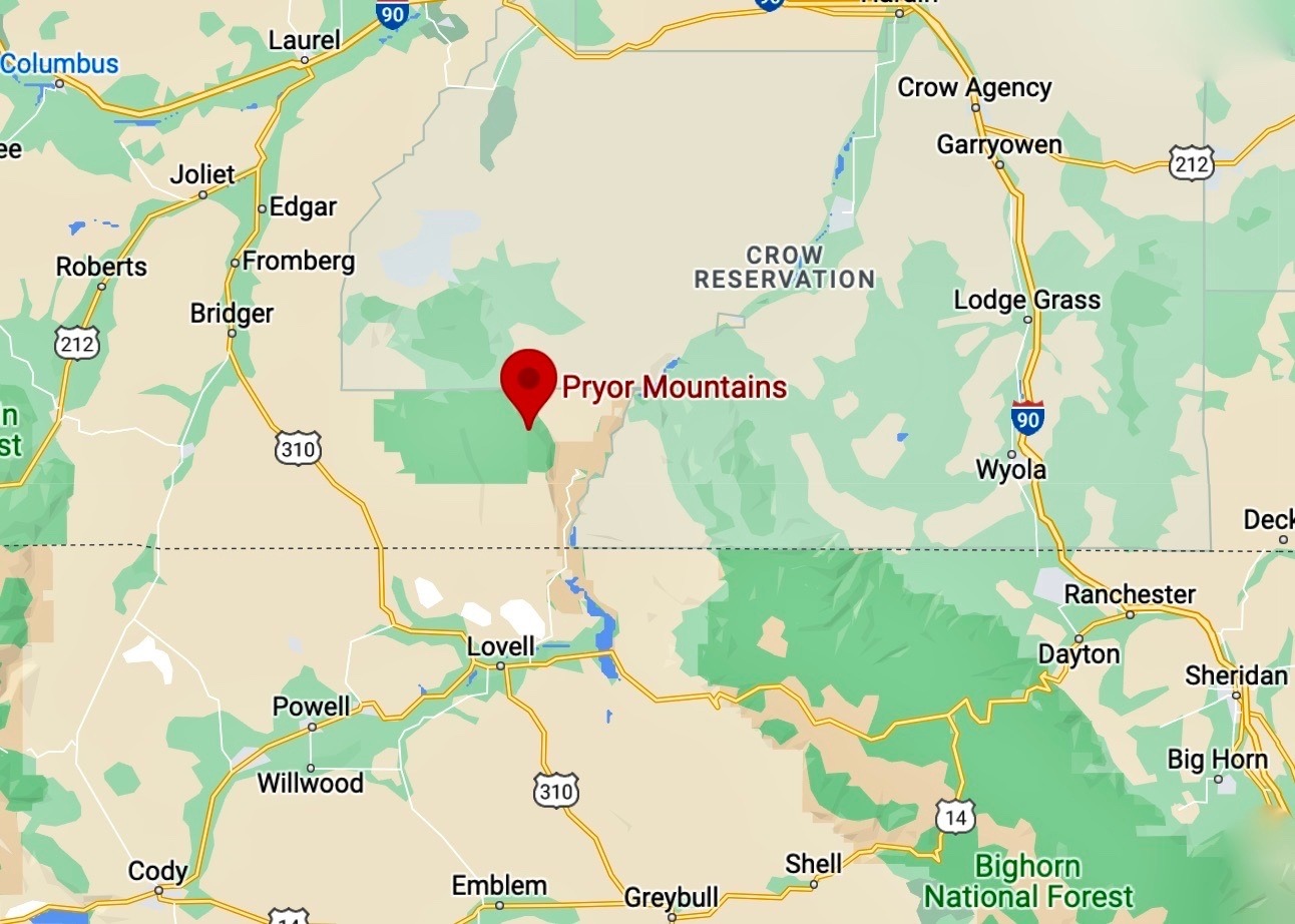 Google map showing location of Pryor Mountains