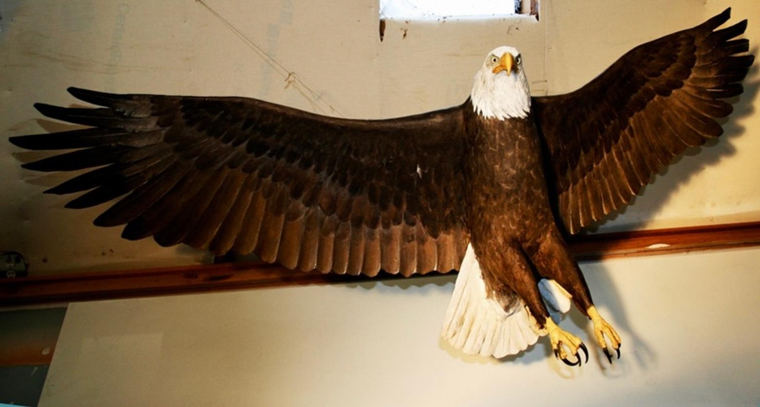 Top: As an icon, the bald eagle is featured as a subject of many decorative art items that citizens proudly display in their homes and offices. Just above: If eagles were hunted as trophies, and portrayed flying or perched on a tree snag, would that also be an expression of one's patriotic spirit? 