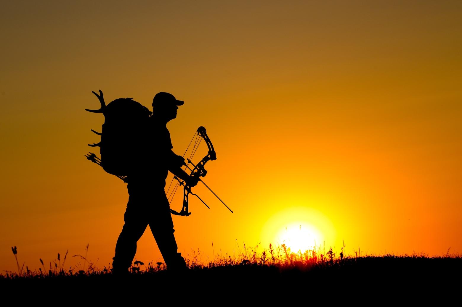 An autumn archer in the field. Image courtesy Shutterstock ID 672066934/Zoran Orcik