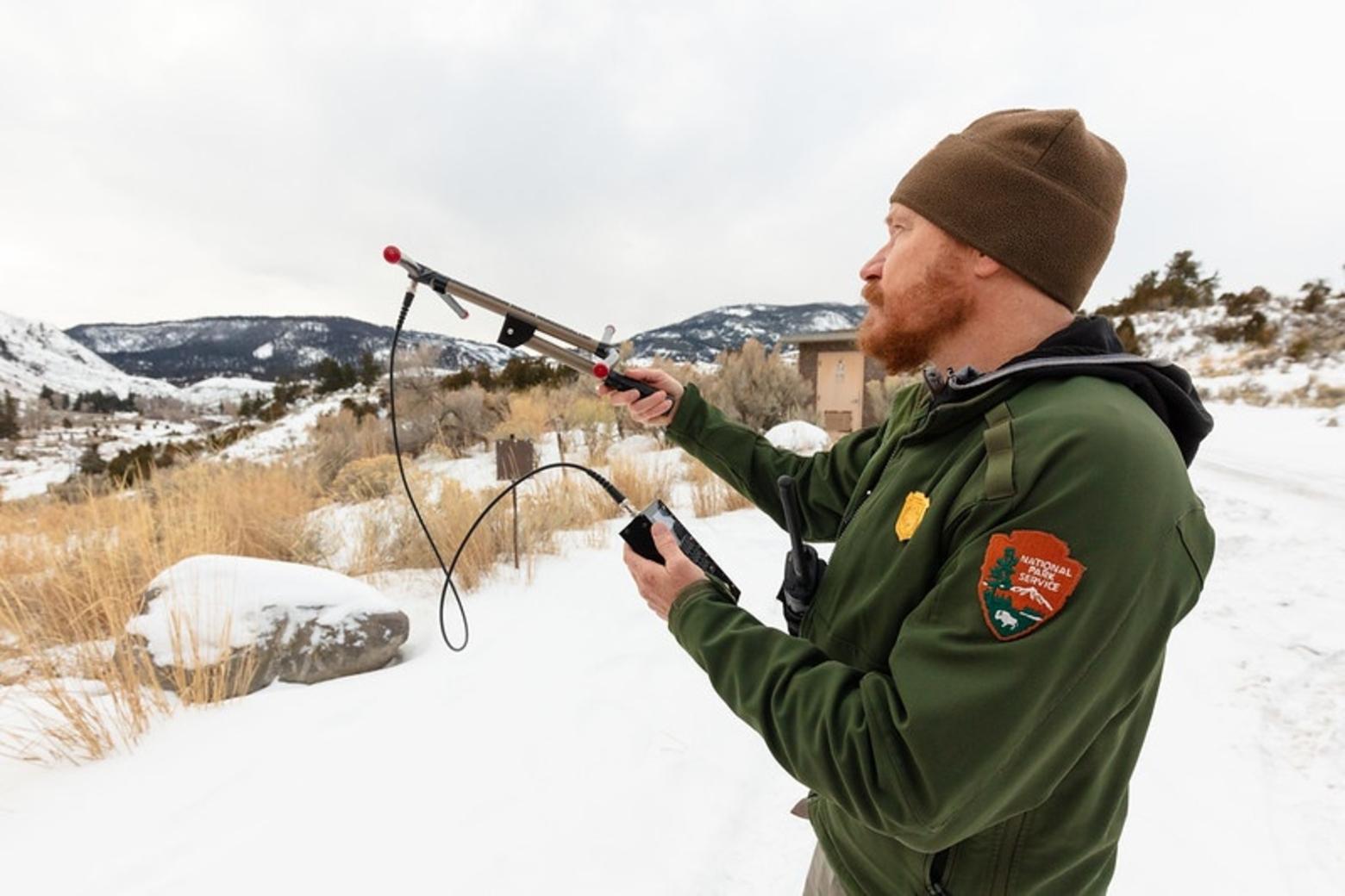 Dan Stahler, recently named lead biologist for the Yellowstone Wolf Project, uses telemetry on more than wolves. Here, he utilizes the collar-tracking technology to track cougars. Phogto by Jacob W. Frank/NPS
