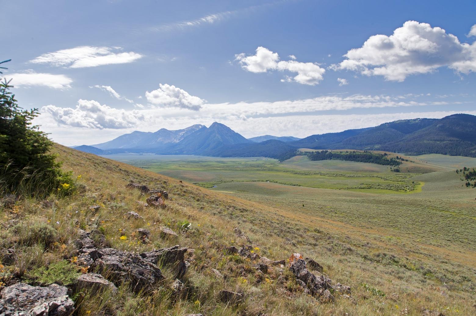 The Alaska Basin addition to the Red Rock Lakes National Wildlife Refuge in the Centennial Valley encompasses more than 53,000 acres, including 32,350 which are designated wilderness. Photo courtesy USFWS 