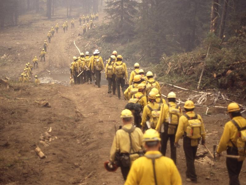 On November 17, federal wildland firefighters face a fiscal pay cliff, which could be "calamitous" for America's forests