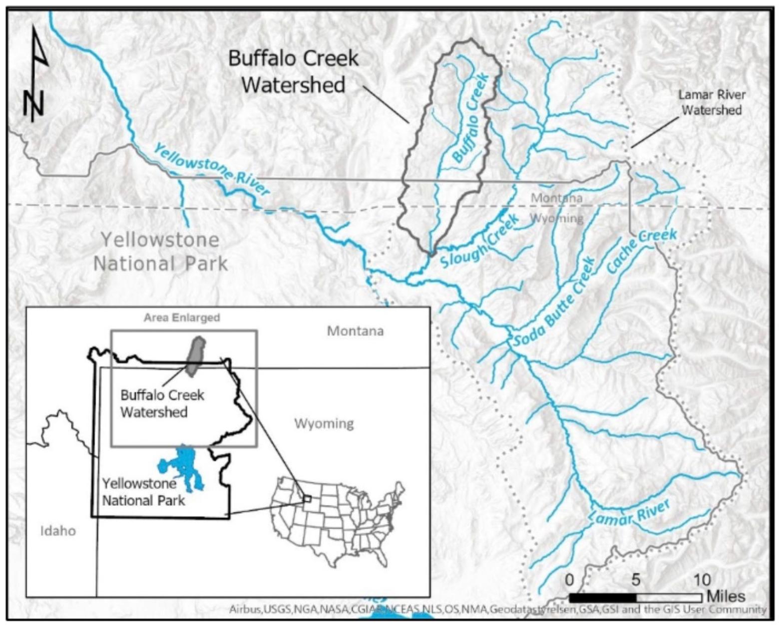 The Buffalo Creek project area within the larger Lamar River Watershed in the northeast section of Yellowstone National Park and southern Absaroka-Beartooth Wilderness. Map courtesy U.S. Forest Service. 