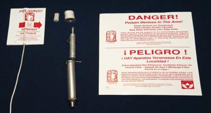 The M-44 consists of a capsule holder, a cyanide capsule, a spring-activated ejector, and a stake. Bilingual signs warn about the device. Photo courtesy Wildlife Services