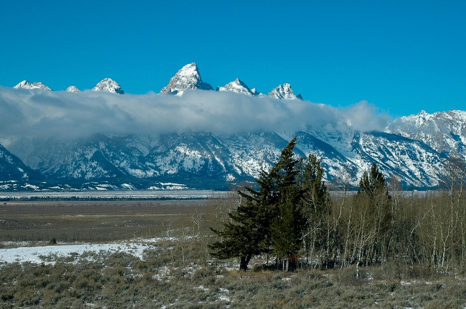 The wide-open places and wildlife near her home in Jackson bring Marsh peace. Here, she takes in the Tetons and a leaning Douglas-fir that she called “the dwelling tree” in a 2021 MoJo piece. She visited the dwelling tree on Christmas Eve this year. Photo by Susan Marsh