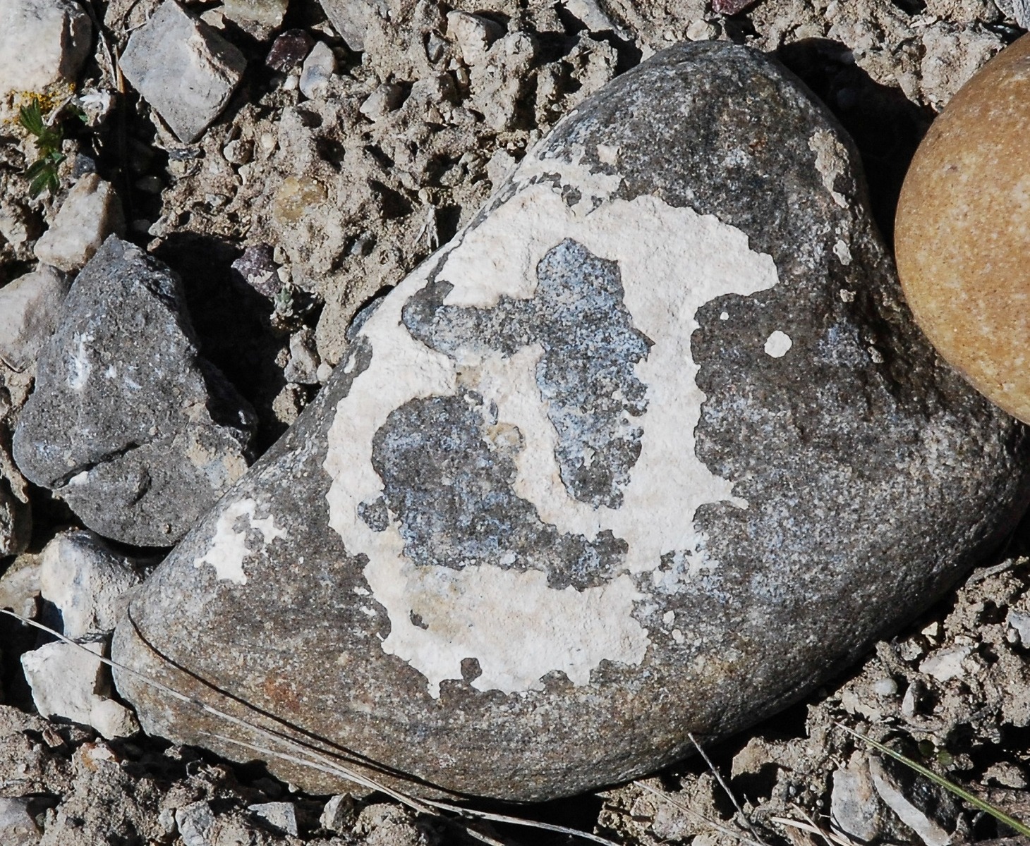 The yin-yang stone