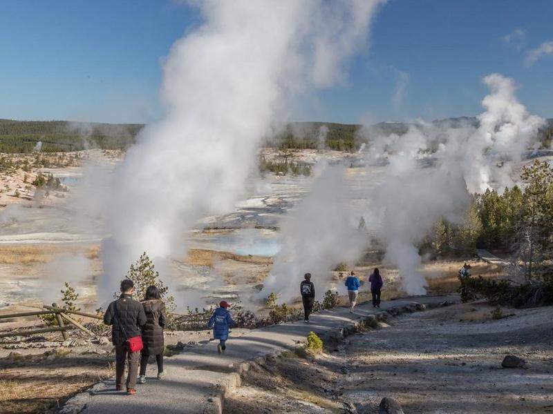Steamboat Geyser in Yellowstone's Norris Geyser Basin, is the world's tallest and potentially dangerous 